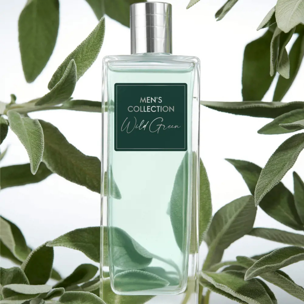 Oriflame Men's Collection Wild Green EDT Erkek Parfümü 75 ml