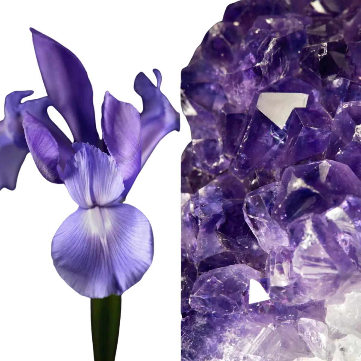 Oriflame Royal Velvet Göz Altı Şişkinlik ve Koyu Halka Karşıtı Sıkılaştırıcı Etkili Göz Kremi 15 ml